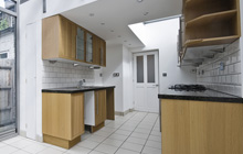 Chertsey kitchen extension leads